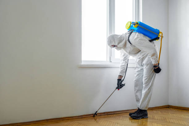Best Residential Pest Control  in Cleveland, TN