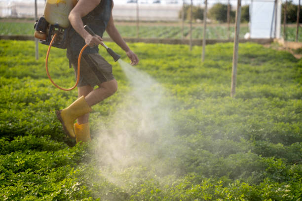 Pest Prevention Services in Cleveland, TN