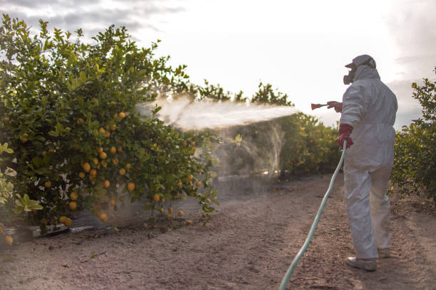 Best Pest Removal Services  in Cleveland, TN