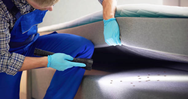 Best Cockroach Control Services  in Cleveland, TN