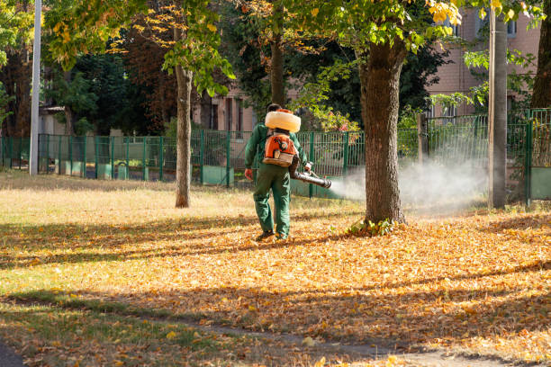 Best Commercial Pest Control Services  in Cleveland, TN