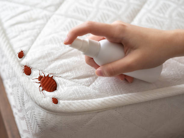 Best Termite Control Services  in Cleveland, TN