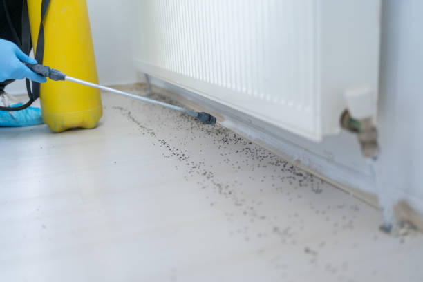 Best Residential Pest Control  in Cleveland, TN
