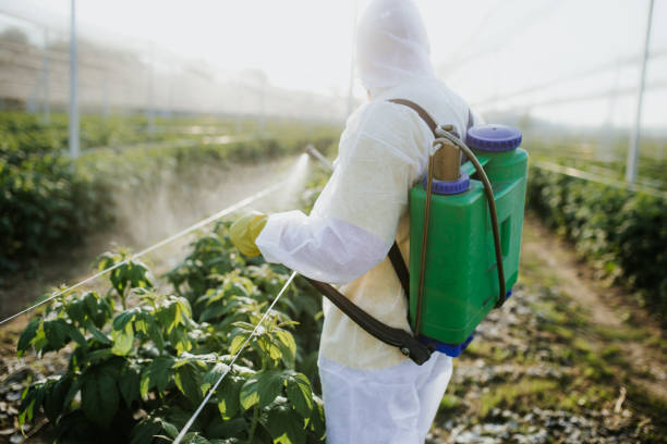 Best Best Pest Control Companies  in Cleveland, TN